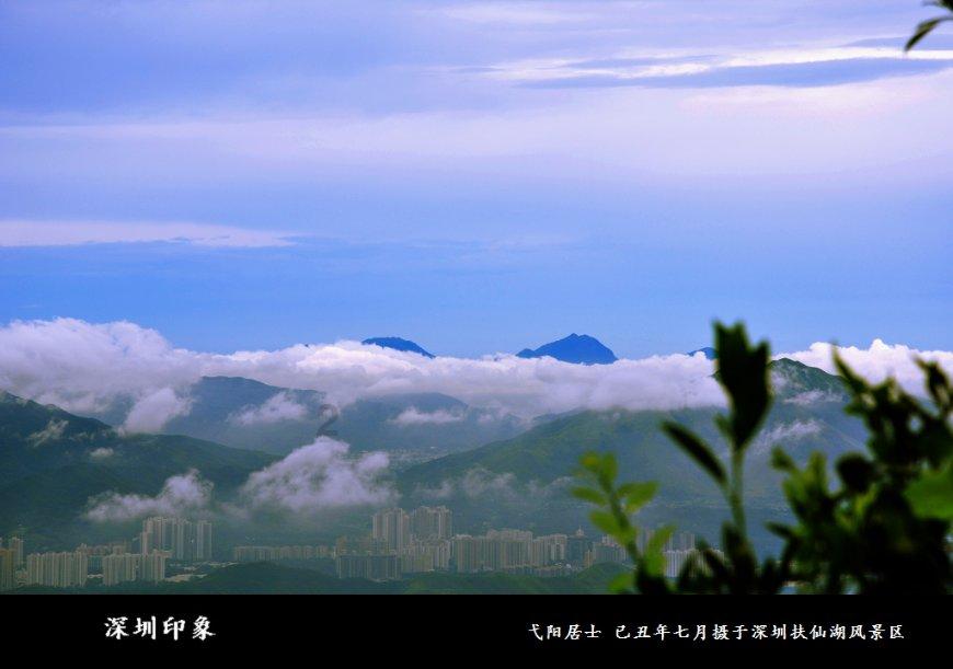 逃离潮湿的房屋